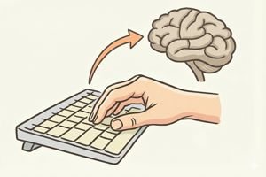 Muscle memory in touch typing - brain and fingers connection
